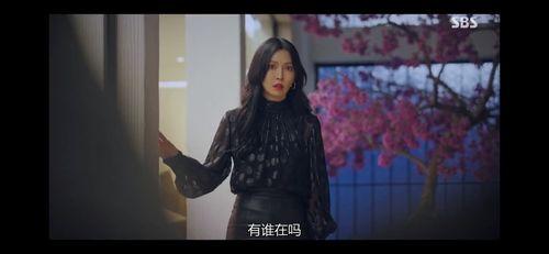 国产富姐调教